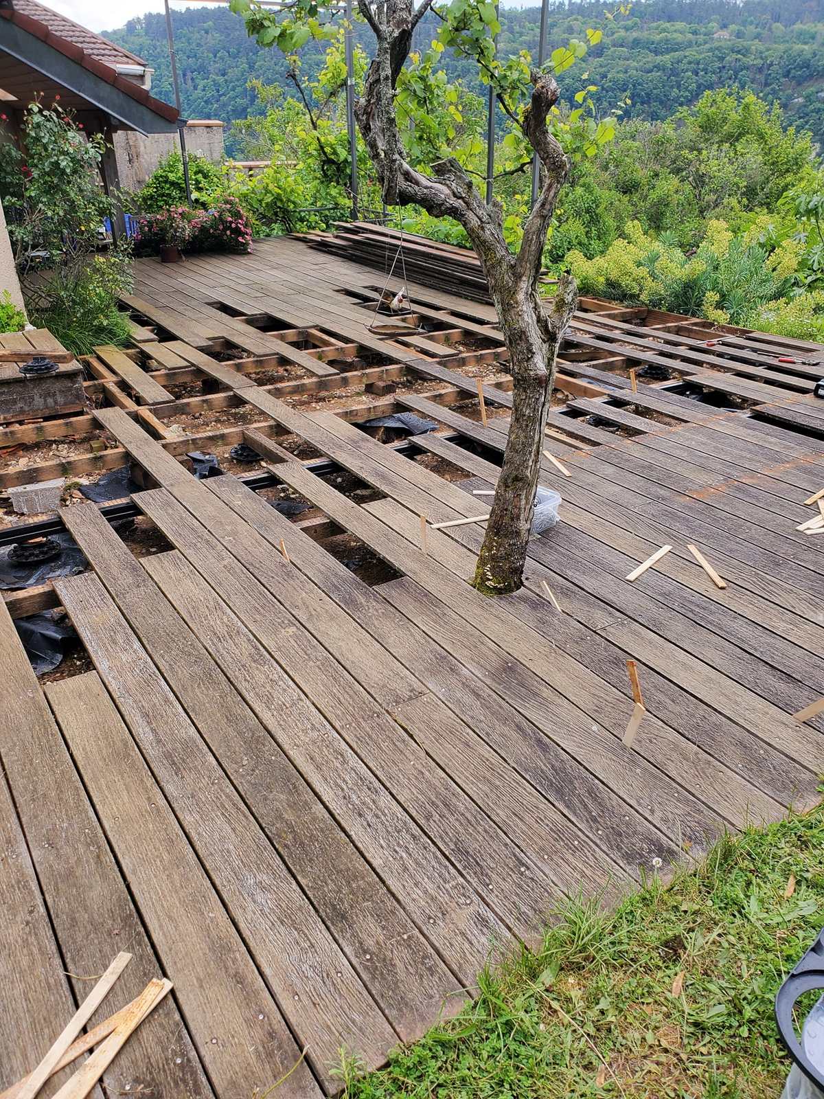 Terrasse en bois en cours de stabilisation, lames déposées autour d'un arbre.